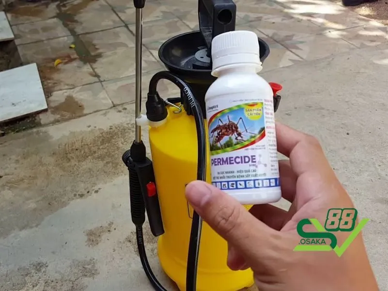 Tổng hợp cách diệt mạt gà hiệu quả nhất