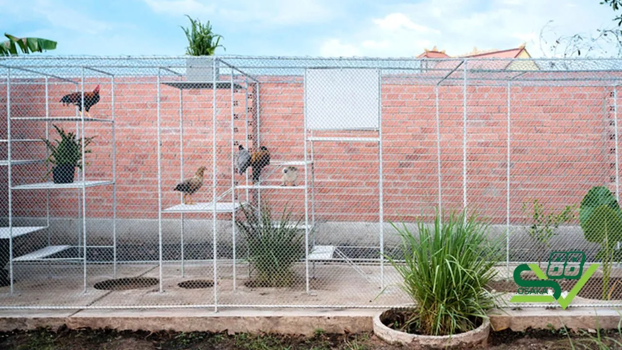 Các yếu tố cần chuẩn bị trước khi bắt đầu làm chuồng bay