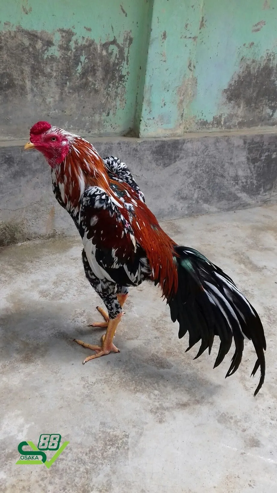 Chế độ dinh dưỡng phải được đảm bảo