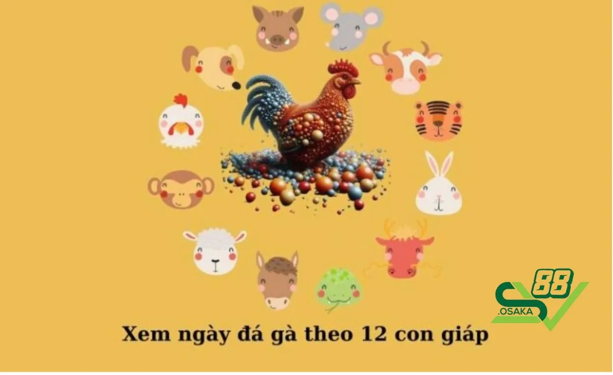 Dựa theo 12 con giáp để xem ngày tốt đá gà